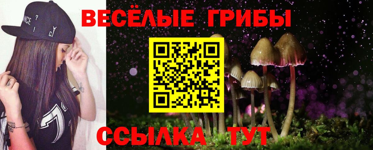 Галлюциногенные грибы MAGIC MUSHROOMS Шадринск