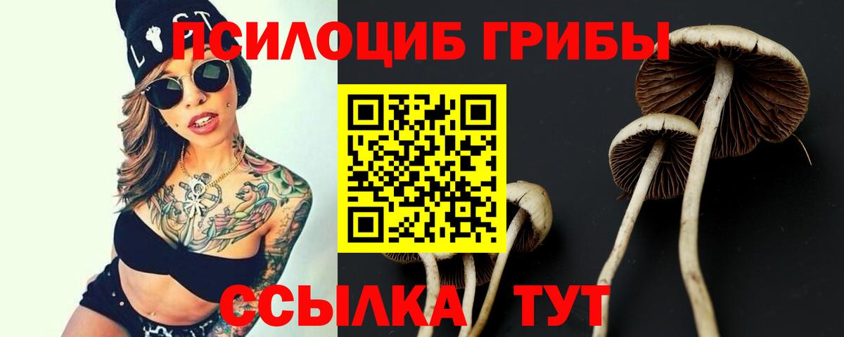 Псилоцибиновые грибы Magic Shrooms  Вход с VPN  Шадринск 